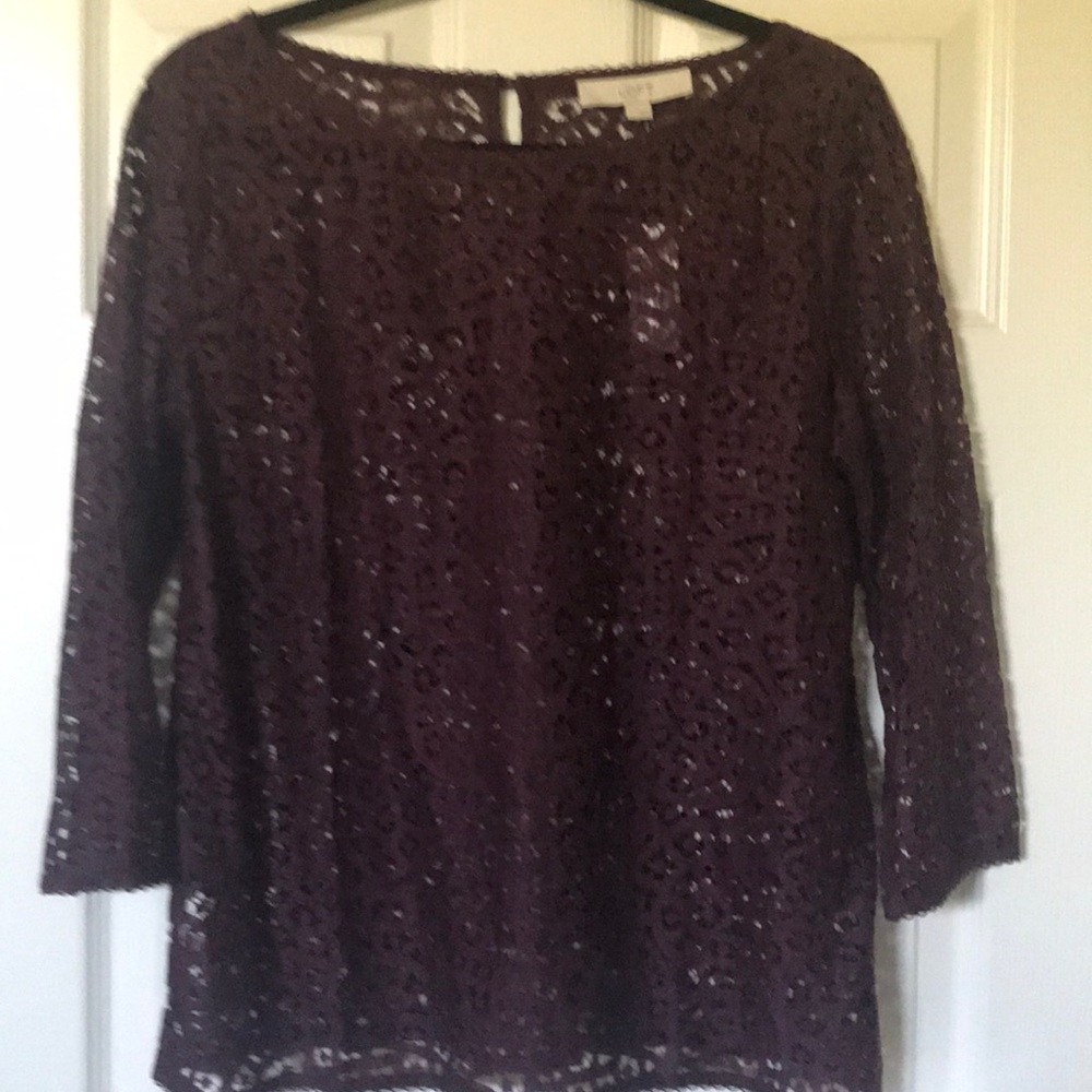 Loft lace blouse burgundy wine color